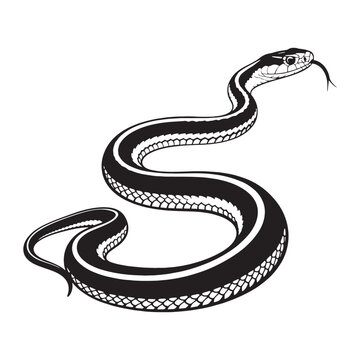 Clean Garter Snake Silhouette with Slim Serpentine Line &ndash; Garter Snake Vector Graphic &ndash; Black Vector of Garter Snake &ndash; Snake Vector