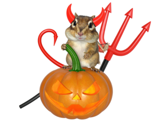 Halloween Chipmunk in Devil Costume Sitting on Jack-o’-Lantern PNG