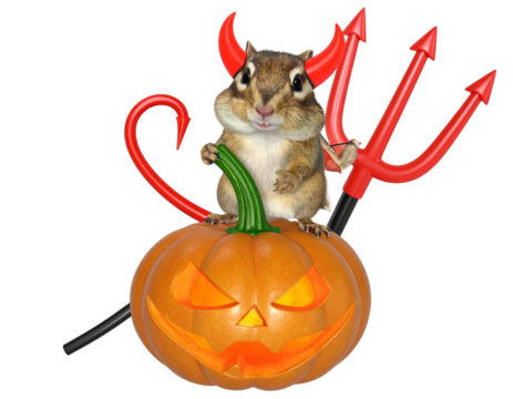 Halloween Chipmunk in Devil Costume Sitting on Jack-o’-Lantern PNG - Powered by Adobe