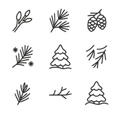 Fototapeta premium Cedar Seasonal Icons. Outline icon set of cedar seasonal changes: spring buds, summer needles, autumn cones, winter snow-covered