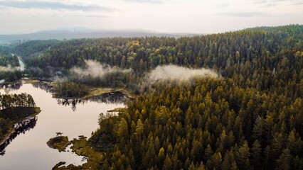 A dark forest in the early mornings. Fog in between the forest and the bright sky is reflecting in the river. Shot on drone.