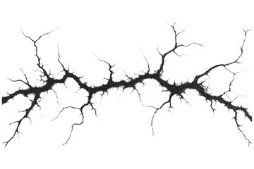 Stipple Crack with Radial Branches