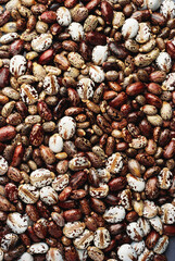 castor seeds background 