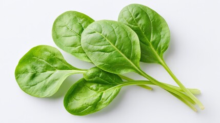 Fototapeta premium Fresh Spinach Leaves: Five vibrant green spinach leaves artfully arranged, offering a close-up perspective of their texture and color, symbolizing health, freshness, and culinary delight.Generative Ai