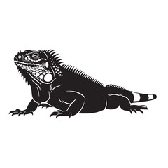 Iguana Silhouette Showing Strong Tropical Reptile Form – Iguana Vector Illustration for Artistic Projects – Silhouette of Iguana