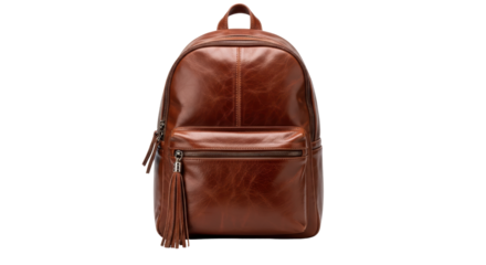Isolated Brown Leather Backpack