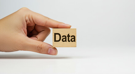 Hand Holding Wooden Block With Data Word Against White Background