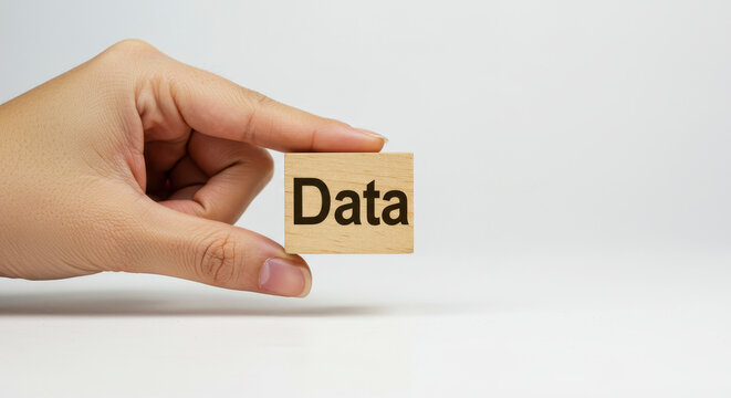 Hand Holding Wooden Block With Data Word Against White Background