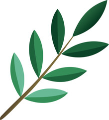 Olive leaf branch