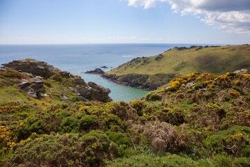 Devonshire coastline near Salcombe, England