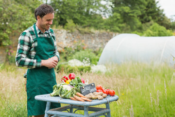 Mid adult man wearing green apron arranging tomatoes on blue farm table with chalkboard, copy space