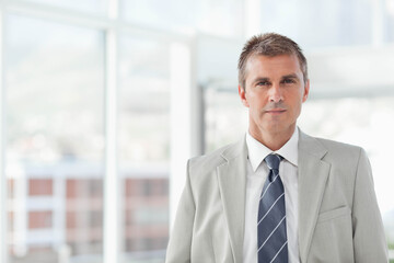 Fototapeta premium Businessman wearing gray suit, striped tie standing in office by grid windows, copy space