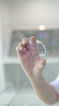 Optometrist hand holding lenses, Lens eyewear, Eyeglasses lens production industry, close-up eyeglasses lenses, glasses lenses, eyeglasses lenses, eyeglasses store busi