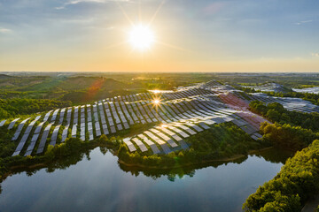 Photovoltaic panels on a hillside at sunset