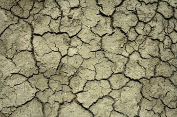 A close-up of severely desiccated soil showcasing a rough, polygonal pattern. Deep fissures highlight prolonged drought, perfect for environmental issues and climate change themes.