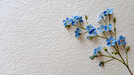 余白の広い和紙に押し花の忘れな草を上品に飾る