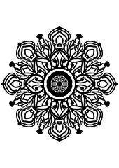 An intricate vintage floral illustration with a seamless baroque lace pattern and ornate leafy swirls