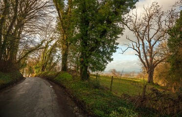 Cotswold lane to Willersey, Gloucestershire, England
