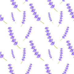 Lavender Flower Seamless Pattern Vector Illustration