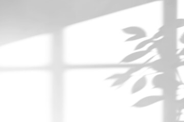 shadow overlay effect of natural tree leaves shadow and window shadow over on white wall background,realistic summer sunlight abstract shadow overlay on transparent png background