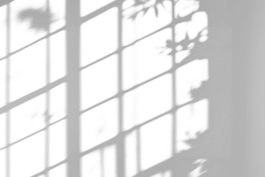 shadow overlay effect of natural tree leaves shadow and window shadow over on white wall background,realistic summer sunlight abstract shadow overlay on transparent png background