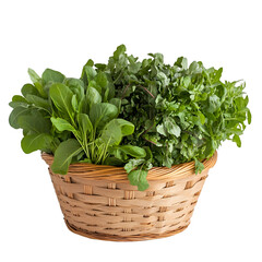 Naklejka premium Fresh green leafy vegetables harvested kitchen food photography natural light close-up healthy eating