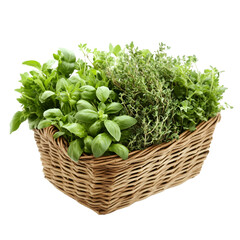Naklejka premium Harvesting fresh herbs in a rustic basket home garden botanical arrangement indoor environment top-down view culinary delight