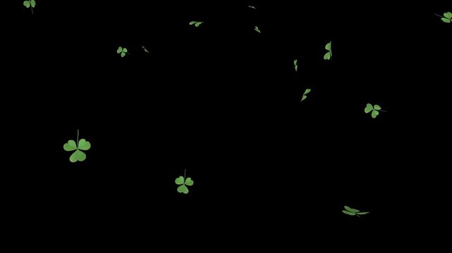 Gentle 3D shamrock leaves gracefully fall on a transparent background. This versatile alpha effect is perfect for adding natural luck and seasonal charm to any project.