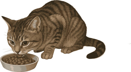 Cat Feeding from Bowl