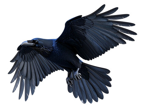 Majestic black raven soaring through a clear sky at sunset, embodying freedom and mystery - Powered by Adobe