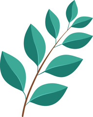 Eucalyptus leaves