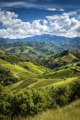 Naklejka premium Rolling Hills And Lush Terraced Fields Under Sunny Sky