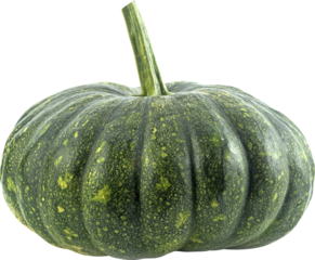 Raw Pumpkin Isolated On Transparent Background