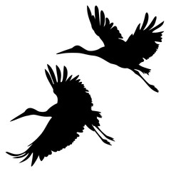 set of two silhouettes of stork in flight on white isolated background. 