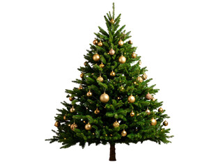 christmas tree isolated on white