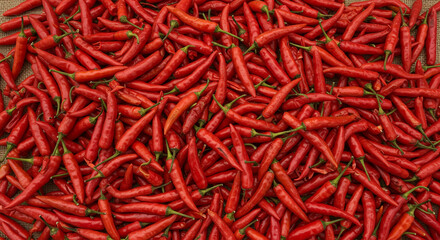 Fototapeta premium Close-up view of a large pile of vibrant red chili peppers.