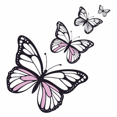 butterfly vector illustration