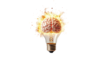 Creative human brain inside glowing light bulb symbolizing intelligence and innovation isolated on white background 