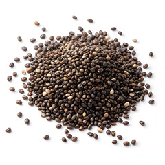 Dried chia seeds are tiny, nutrient-rich superfoods packed with fiber, omega-3s, and protein,