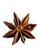 Extreme macro of a star-shaped anise pod, fractured open revealing a dark, glossy seed, woody texture, isolated on transparent, soft shadow, dramatic lighting, natural intricate design