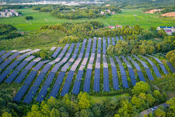 Photovoltaic panels on a hillside at sunset