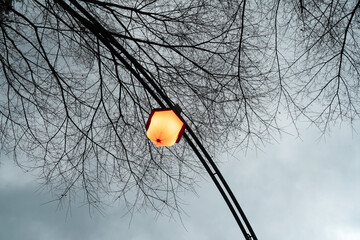 Winter Sky with Bare Trees and Streetlight