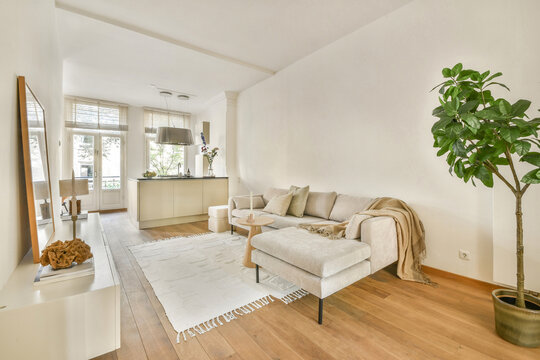 Modern Living Room with Minimalist Decor