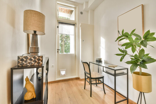 Stylish and Modern Interior Entryway