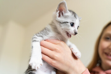 Adorable kitten held gently by smiling child