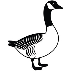 goose on white background