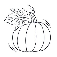 Pumpkin. Simple outline drawing of a pumpkin with a leaf, perfect for autumn, Halloween, and Thanksgiving designs. Ideal for seasonal greetings, decorations, and healthy food concepts. Vector 