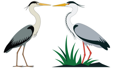 vector illustration of a stork