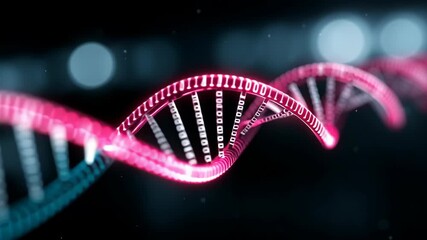 Digital dna structure with binary code data rotating and pulsating. Genetic engineering and information technology concept footage. - Powered by Adobe