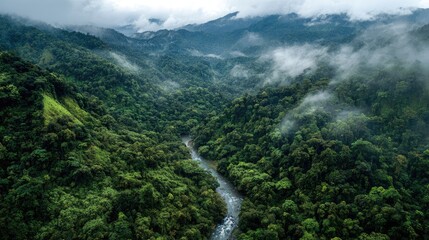Aerial View of Lush Green Rainforest with Rising Mist and Meandering River in a Serene Natural Landscape Surrounded by Majestic Mountains and Dense Foliage